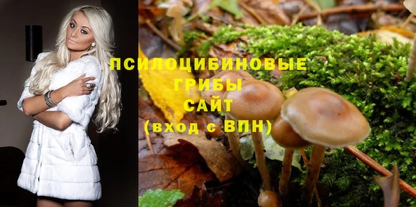 гидропоника Белокуриха